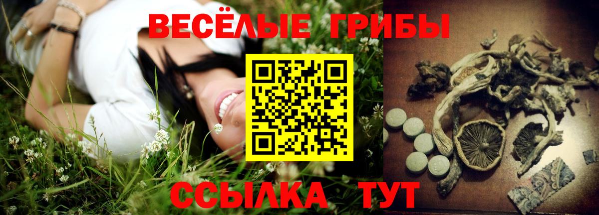 Галлюциногенные грибы прущие грибы  Вход с VPN  Кубинка  Галлюциногенные грибы мицелий 