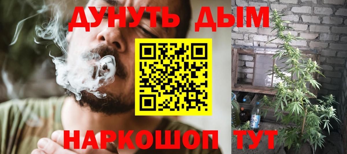 Шишки марихуана Amnesia Кубинка